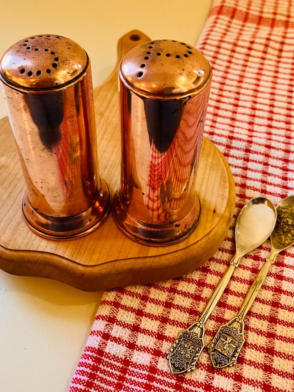 Vintage Copper Salt and Pepper Shakers